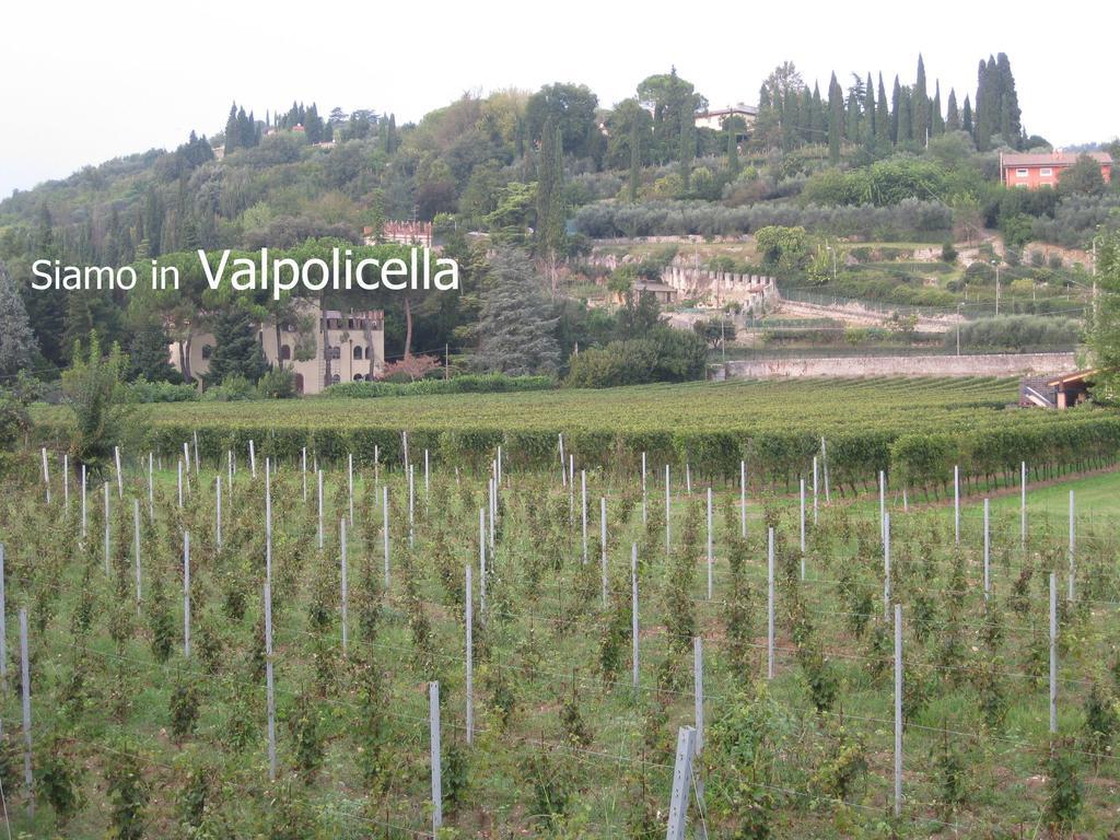 Agriturismo Terra E Sole SantʼAmbrogio di Valpolicella Exterior foto
